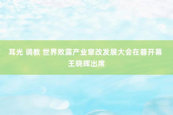 耳光 调教 世界败露产业窜改发展大会在蓉开幕 王晓晖出席