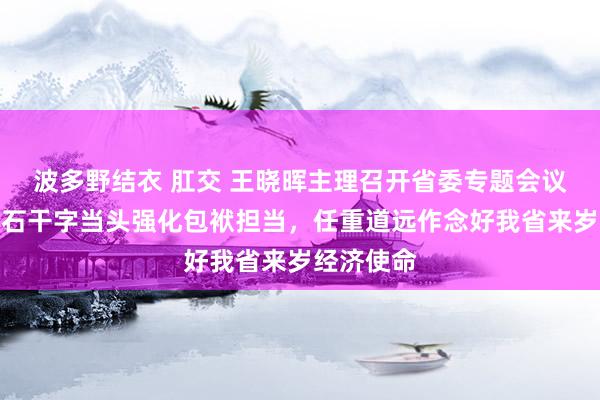 波多野结衣 肛交 王晓晖主理召开省委专题会议强调：宝石干字当头强化包袱担当，任重道远作念好我省来岁经济使命