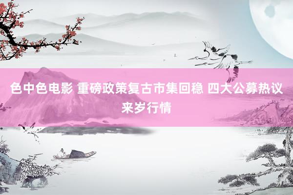 色中色电影 重磅政策复古市集回稳 四大公募热议来岁行情