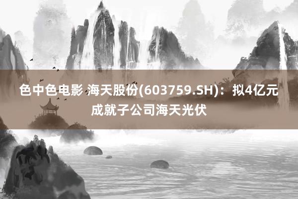 色中色电影 海天股份(603759.SH)：拟4亿元成就子公司海天光伏