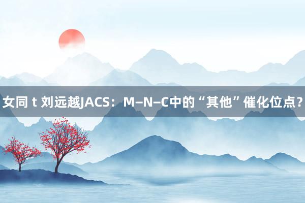女同 t 刘远越JACS：M−N−C中的“其他”催化位点？