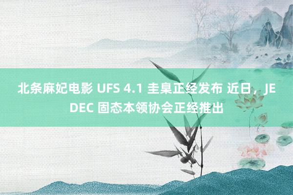 北条麻妃电影 UFS 4.1 圭臬正经发布 近日，JEDEC 固态本领协会正经推出