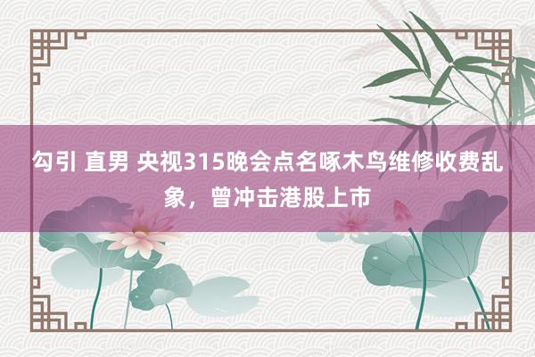 勾引 直男 央视315晚会点名啄木鸟维修收费乱象，曾冲击港股上市
