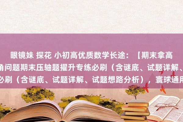 眼镜妹 探花 小初高优质数学长途：【期末拿高分】七年齿上册数学动角问题期末压轴题擢升专练必刷（含谜底、试题详解、试题想路分析），寰球通用