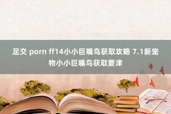 足交 porn ff14小小巨嘴鸟获取攻略 7.1新宠物小小巨嘴鸟获取要津
