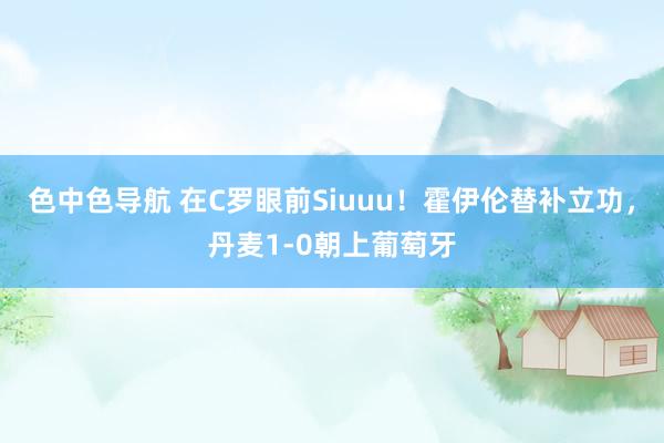 色中色导航 在C罗眼前Siuuu！霍伊伦替补立功，丹麦1-0朝上葡萄牙