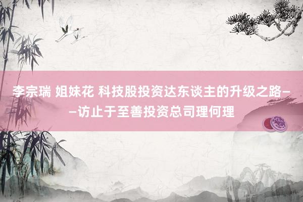 李宗瑞 姐妹花 科技股投资达东谈主的升级之路——访止于至善投资总司理何理