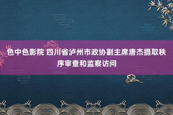 色中色影院 四川省泸州市政协副主席唐杰摄取秩序审查和监察访问