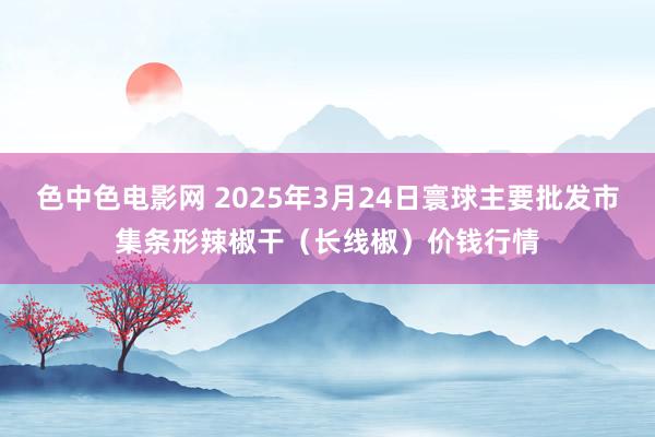 色中色电影网 2025年3月24日寰球主要批发市集条形辣椒干（长线椒）价钱行情