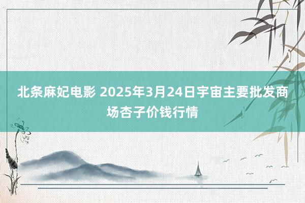 北条麻妃电影 2025年3月24日宇宙主要批发商场杏子价钱行情