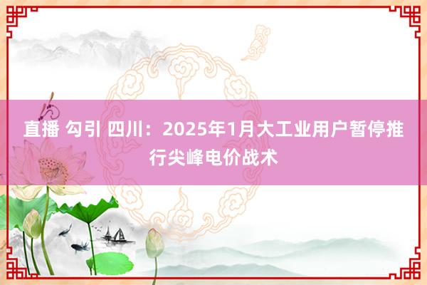 直播 勾引 四川：2025年1月大工业用户暂停推行尖峰电价战术