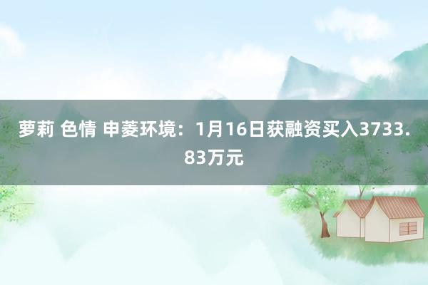 萝莉 色情 申菱环境：1月16日获融资买入3733.83万元