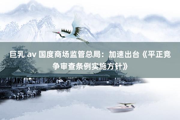巨乳 av 国度商场监管总局：加速出台《平正竞争审查条例实施方针》