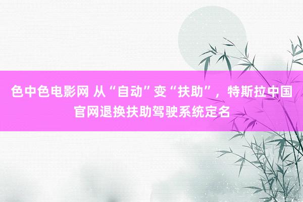 色中色电影网 从“自动”变“扶助”，特斯拉中国官网退换扶助驾驶系统定名