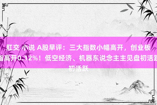 肛交 小说 A股早评：三大指数小幅高开，创业板指高开0.12%！低空经济、机器东说念主主见盘初活跃
