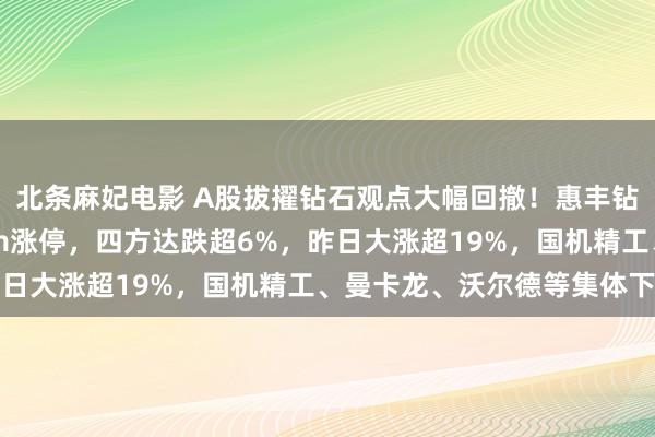 北条麻妃电影 A股拔擢钻石观点大幅回撤！惠丰钻石跌超7%，昨日30cm涨停，四方达跌超6%，昨日大涨超19%，国机精工、曼卡龙、沃尔德等集体下落