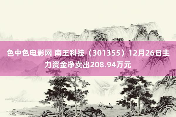 色中色电影网 南王科技（301355）12月26日主力资金净卖出208.94万元