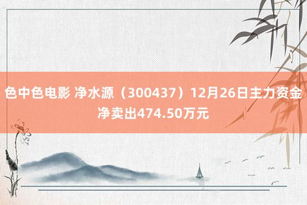 色中色电影 净水源（300437）12月26日主力资金净卖出474.50万元