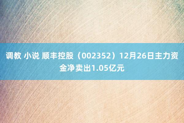 调教 小说 顺丰控股（002352）12月26日主力资金净卖出1.05亿元