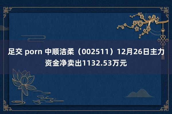 足交 porn 中顺洁柔（002511）12月26日主力资金净卖出1132.53万元