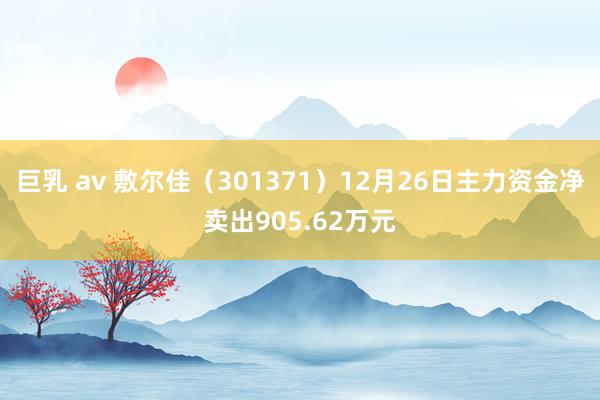 巨乳 av 敷尔佳（301371）12月26日主力资金净卖出905.62万元