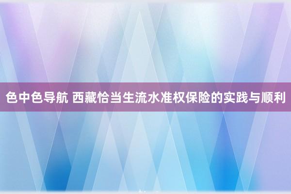 色中色导航 西藏恰当生流水准权保险的实践与顺利