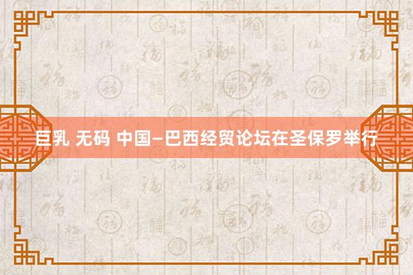 巨乳 无码 中国—巴西经贸论坛在圣保罗举行