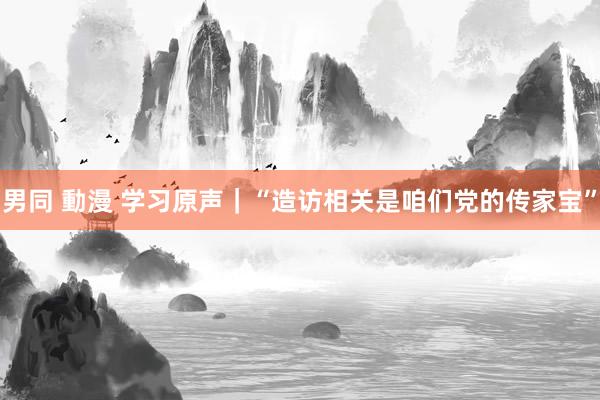 男同 動漫 学习原声｜“造访相关是咱们党的传家宝”