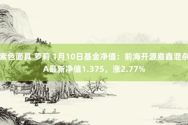 紫色面具 萝莉 1月10日基金净值：前海开源嘉鑫混杂A最新净值1.375，涨2.77%