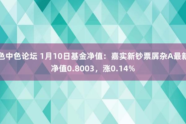 色中色论坛 1月10日基金净值：嘉实新钞票羼杂A最新净值0.8003，涨0.14%