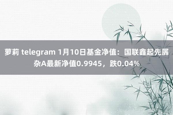 萝莉 telegram 1月10日基金净值：国联鑫起先羼杂A最新净值0.9945，跌0.04%