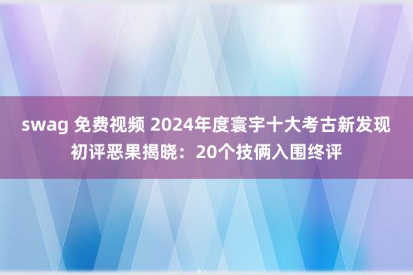 swag 免费视频 2024年度寰宇十大考古新发现初评恶果揭晓：20个技俩入围终评