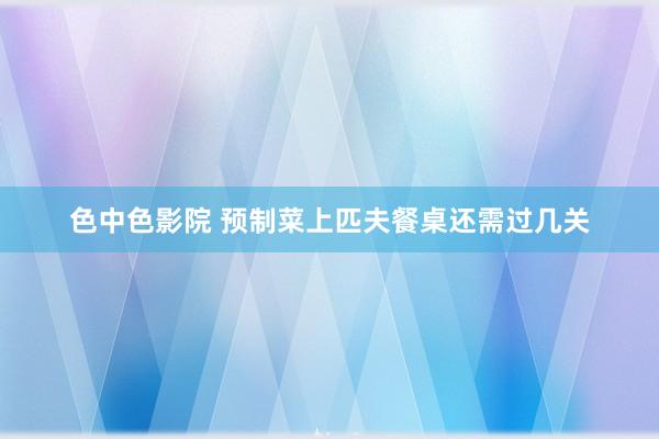 色中色影院 预制菜上匹夫餐桌还需过几关