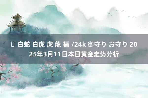 ✨白蛇 白虎 虎 龍 福 /24k 御守り お守り 2025年3月11日本日黄金走势分析