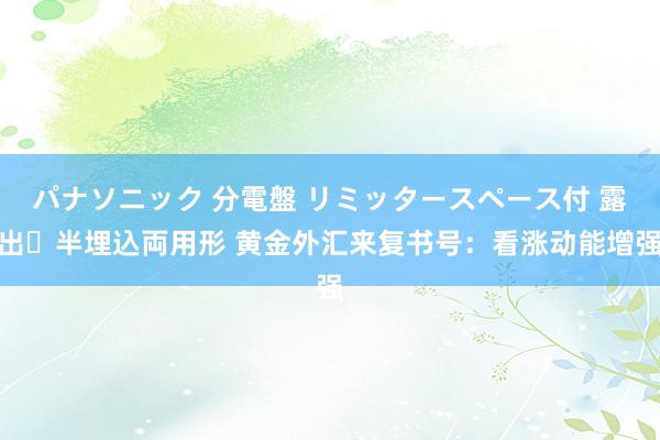 パナソニック 分電盤 リミッタースペース付 露出・半埋込両用形 黄金外汇来复书号：看涨动能增强