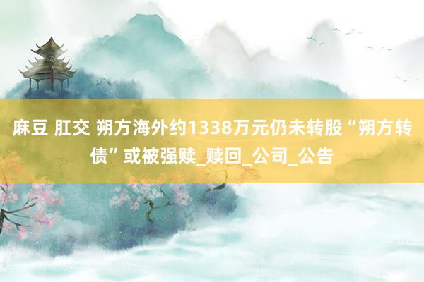 麻豆 肛交 朔方海外约1338万元仍未转股“朔方转债”或被强赎_赎回_公司_公告