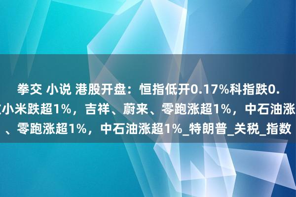 拳交 小说 港股开盘：恒指低开0.17%科指跌0.16%！小米SU7严重事故小米跌超1%，吉祥、蔚来、零跑涨超1%，中石油涨超1%_特朗普_关税_指数