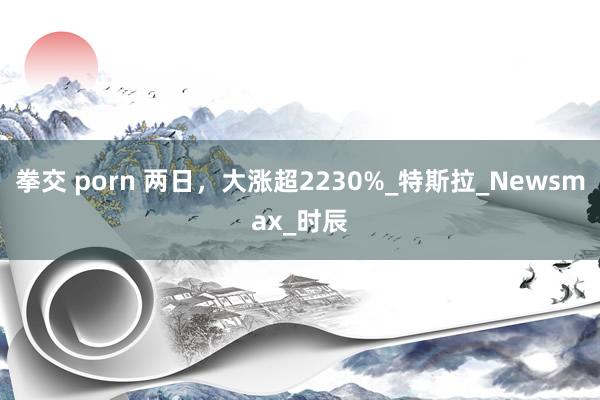 拳交 porn 两日，大涨超2230%_特斯拉_Newsmax_时辰