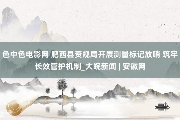 色中色电影网 肥西县资规局开展测量标记放哨 筑牢长效管护机制_大皖新闻 | 安徽网
