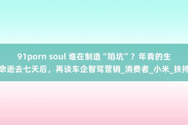 91porn soul 谁在制造“陷坑”？年青的生命逝去七天后，再谈车企智驾营销_消费者_小米_扶持