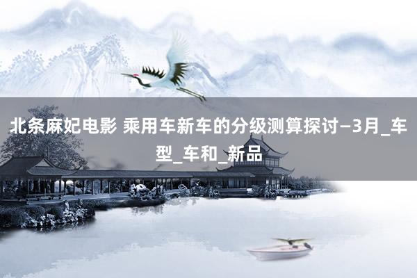 北条麻妃电影 乘用车新车的分级测算探讨—3月_车型_车和_新品