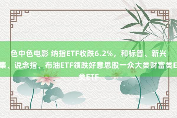 色中色电影 纳指ETF收跌6.2%，和标普、新兴市集、说念指、布油ETF领跌好意思股一众大类财富类ETF