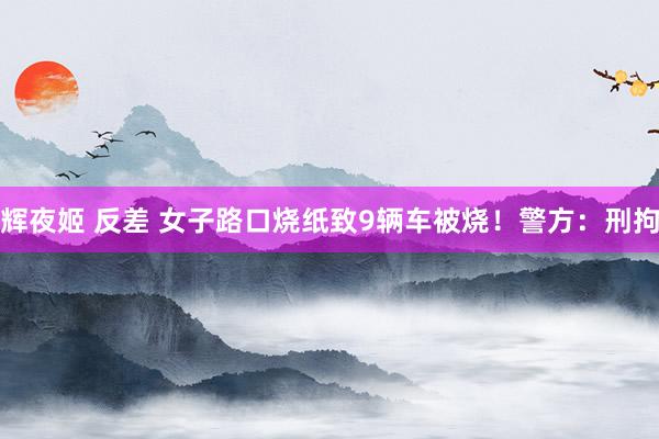 辉夜姬 反差 女子路口烧纸致9辆车被烧！警方：刑拘