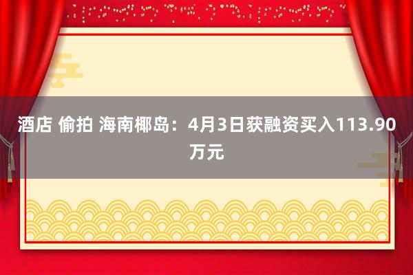 酒店 偷拍 海南椰岛：4月3日获融资买入113.90万元
