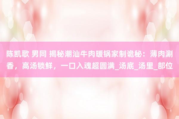 陈凯歌 男同 揭秘潮汕牛肉暖锅家制诡秘：薄肉涮香，高汤锁鲜，一口入魂超圆满_汤底_汤里_部位