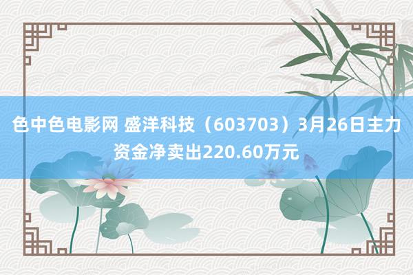 色中色电影网 盛洋科技（603703）3月26日主力资金净卖出220.60万元