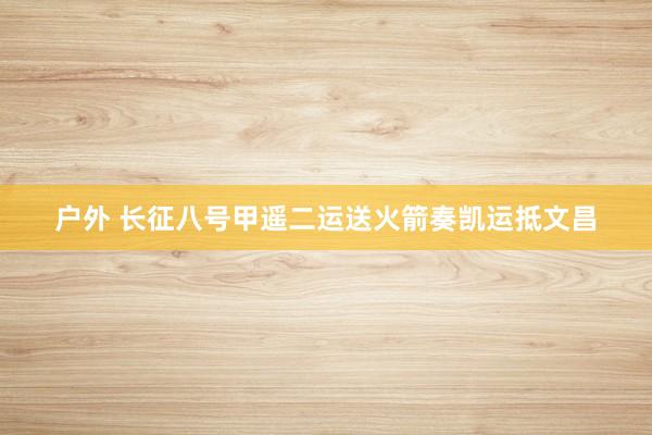 户外 长征八号甲遥二运送火箭奏凯运抵文昌