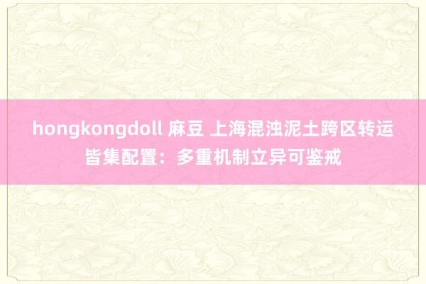 hongkongdoll 麻豆 上海混浊泥土跨区转运皆集配置：多重机制立异可鉴戒