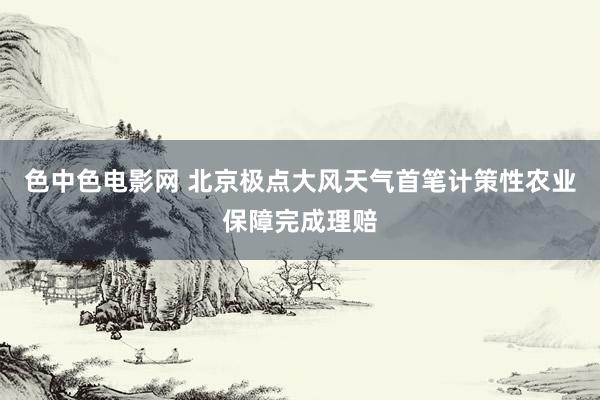 色中色电影网 北京极点大风天气首笔计策性农业保障完成理赔