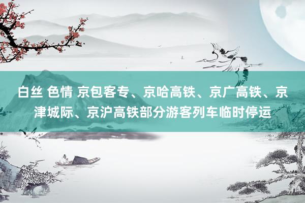 白丝 色情 京包客专、京哈高铁、京广高铁、京津城际、京沪高铁部分游客列车临时停运